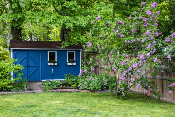 Blue she shed in the backyard