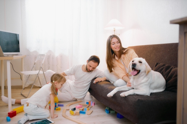 family and dog hanging out in the living room keeping comfortable due to proper insulation