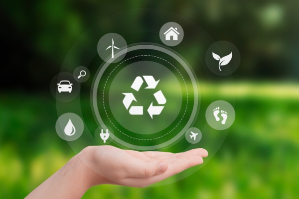 hand showing eco friendly icons with nature as background